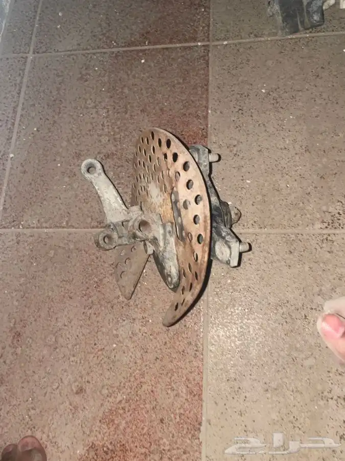 قطع بانشي 10