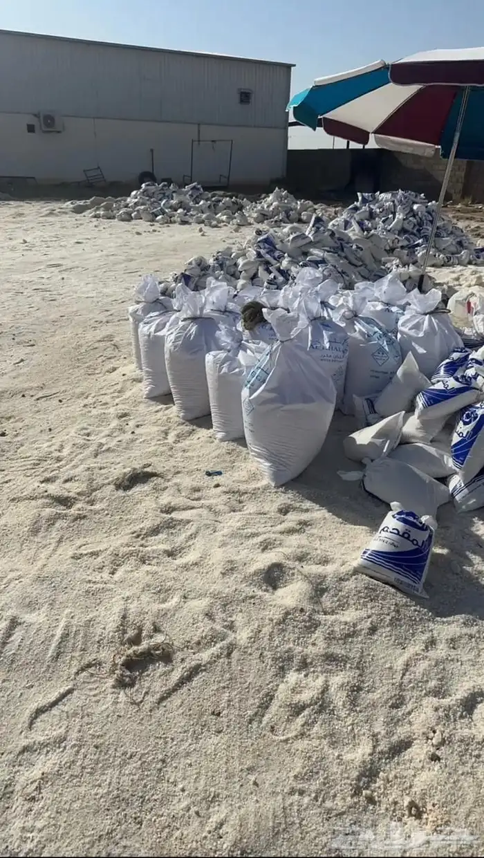 ملح المواشي 50 كيلو السعر 8 ريال (اقل كمية 100 كيس ) 0