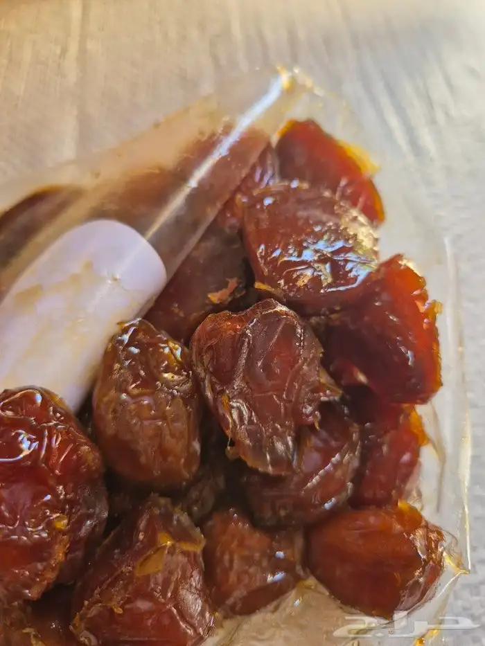 تمر نبتة سلطان 3