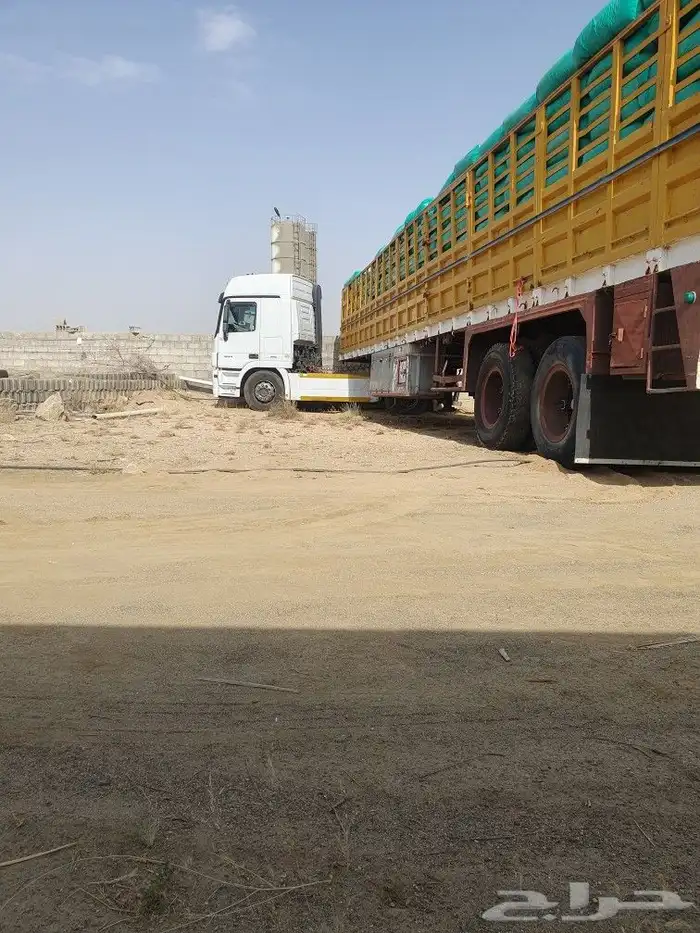 نشارة دواجن خميس مشيط 5