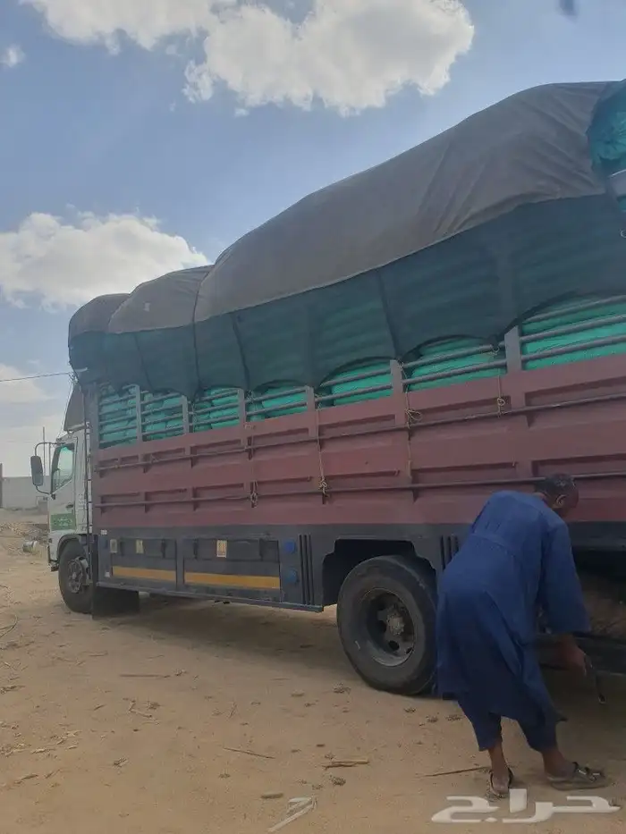 نشارة للدواجن خميس مشيط البيع كميات 3