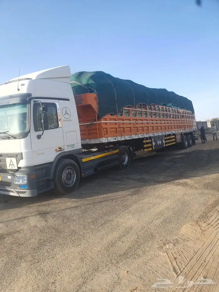 نشارة دواجن البيع كميات 3