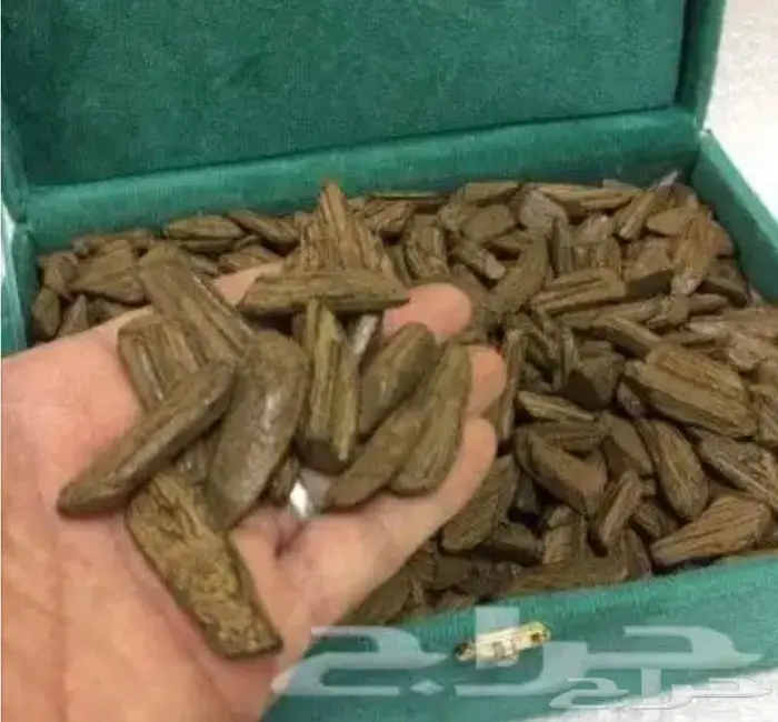 عود بخور ربع الكيلو 250 ريال 1
