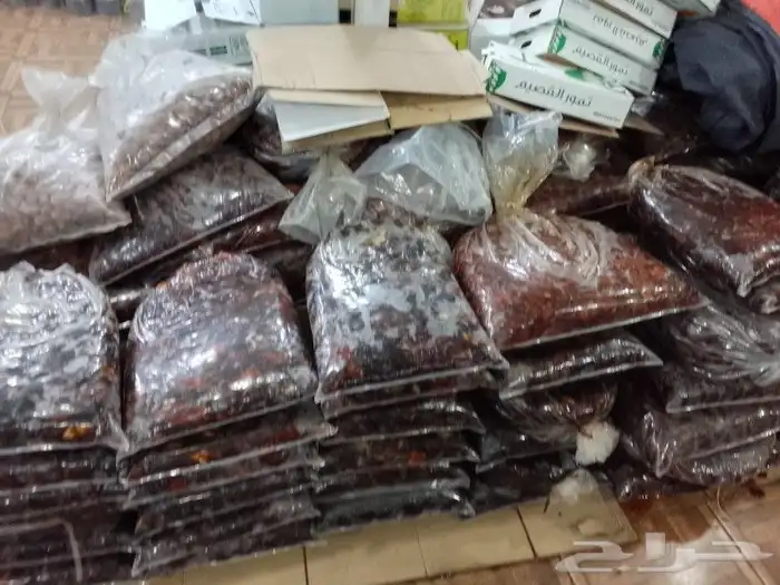 تمور حائل الفاخره 4