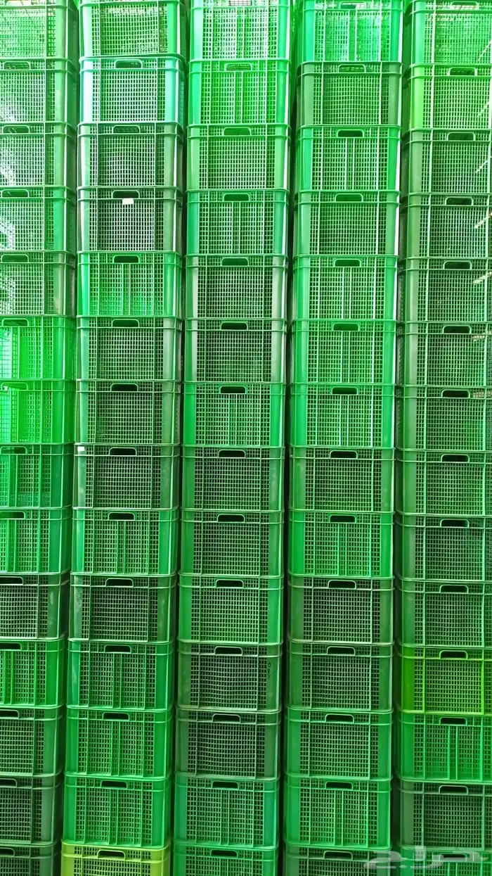 صناديق بلاستيك مستعملة نظيفة صناديق خضار صناديق تمور ودواجن 0
