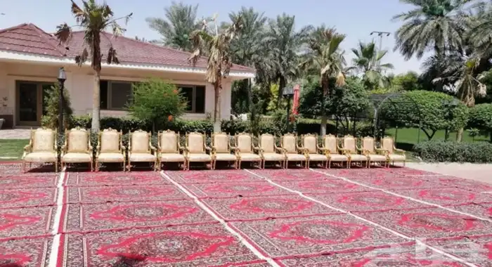 تاجير حواجز ممشى تاجير كراسي ملكي تاجير خيام 1