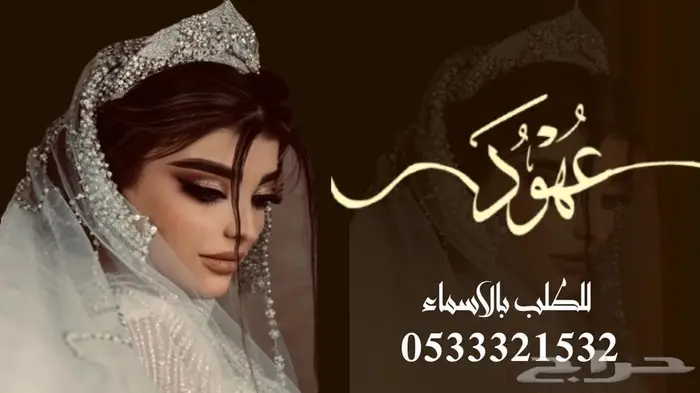 منشد شيلات شاعر جزل 0
