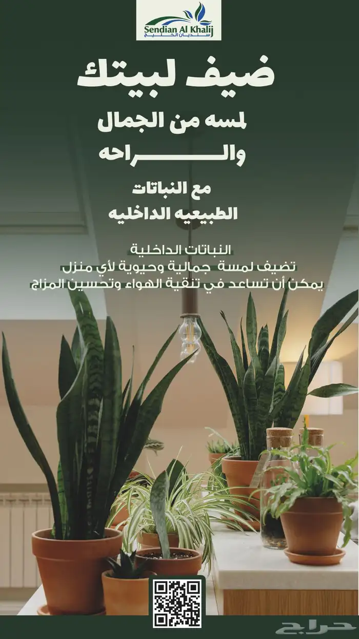 مصمم جرافيك 19