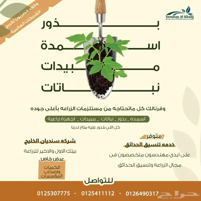 مصمم جرافيك 16
