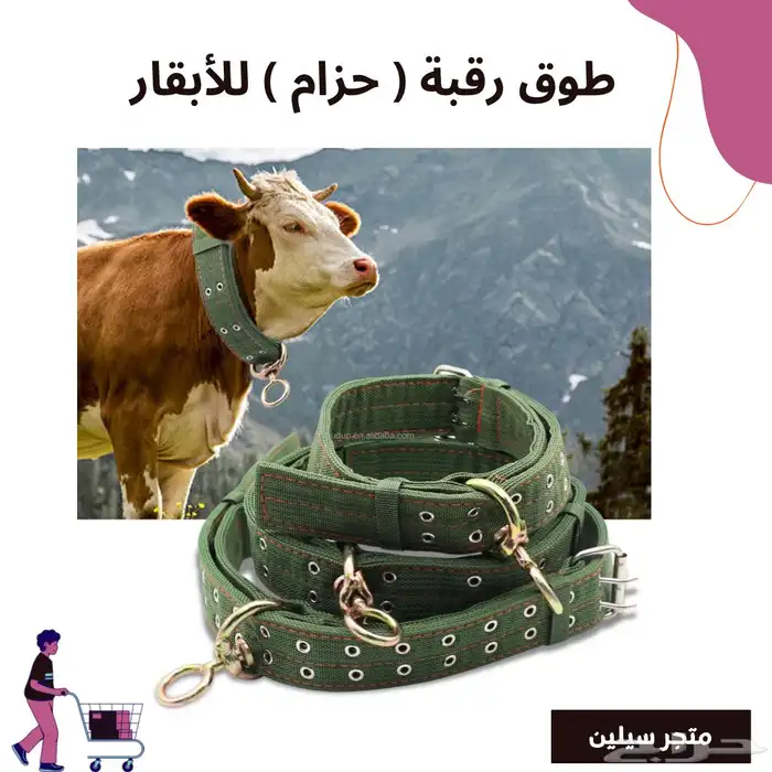 حزام أبقار مع جرس 0