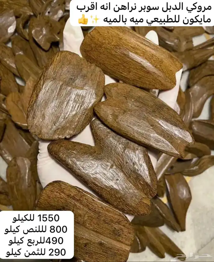 عود مروكي 0