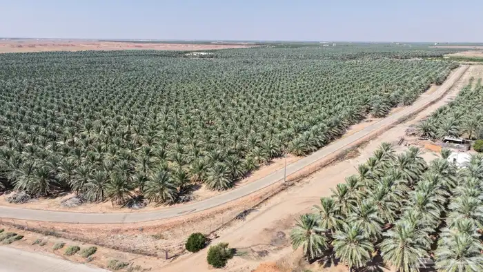 تصوير جوي للمعالم والمباني والمناظر الطبيعيه مصرح 8