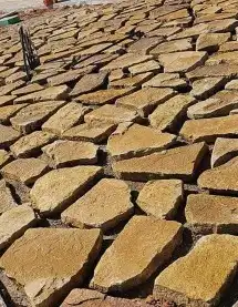 مقولات حجر وشبوك 5