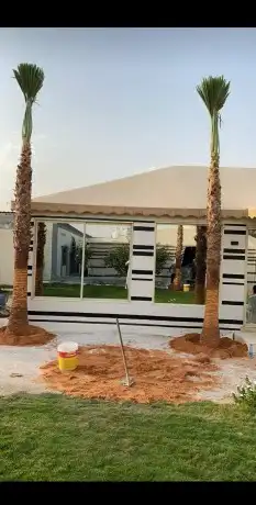 نخيل وشنطوني وعربي جميع المقاسات والانواع 5