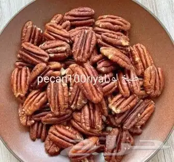 شتلات جلد ثعبان إندونيسيا وغيره 8