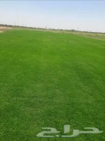 ثيل طبيعي سي الفين درجه اولى شرط 5