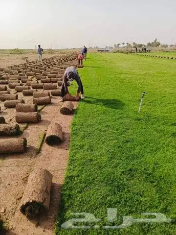 ثيل طبيعي سي الفين درجه اولى شرط 4
