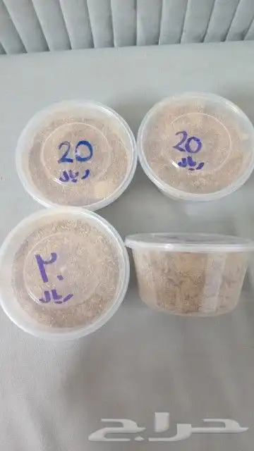 اكلات جيزانيه بالطائف 1