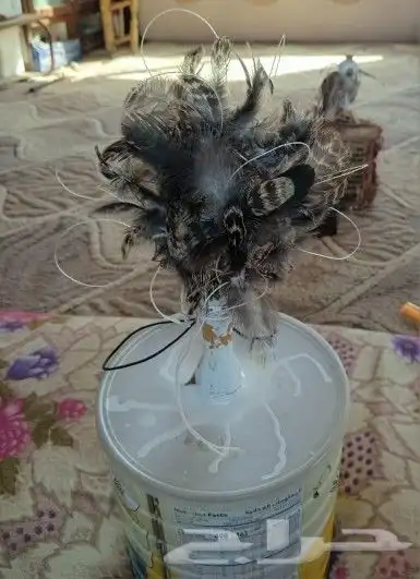 نقل طرح الصقور 8