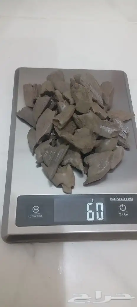 عود مروكي طبيعي محسن جملة الجمله 3