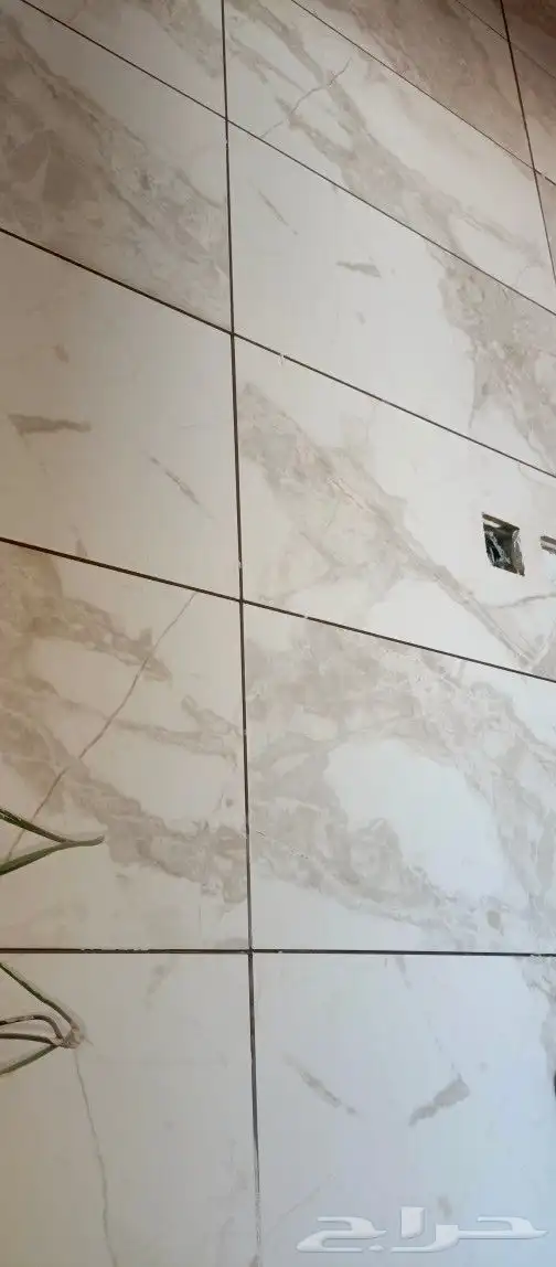 مبلط بلاط  شان  عبدالمج د 8