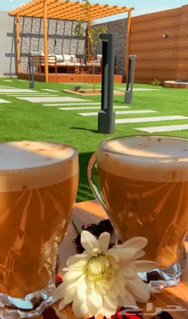 شاليهات روشانا 7