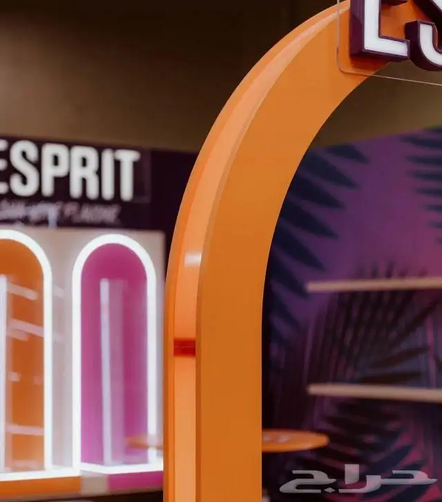 تنظيم معارض 4