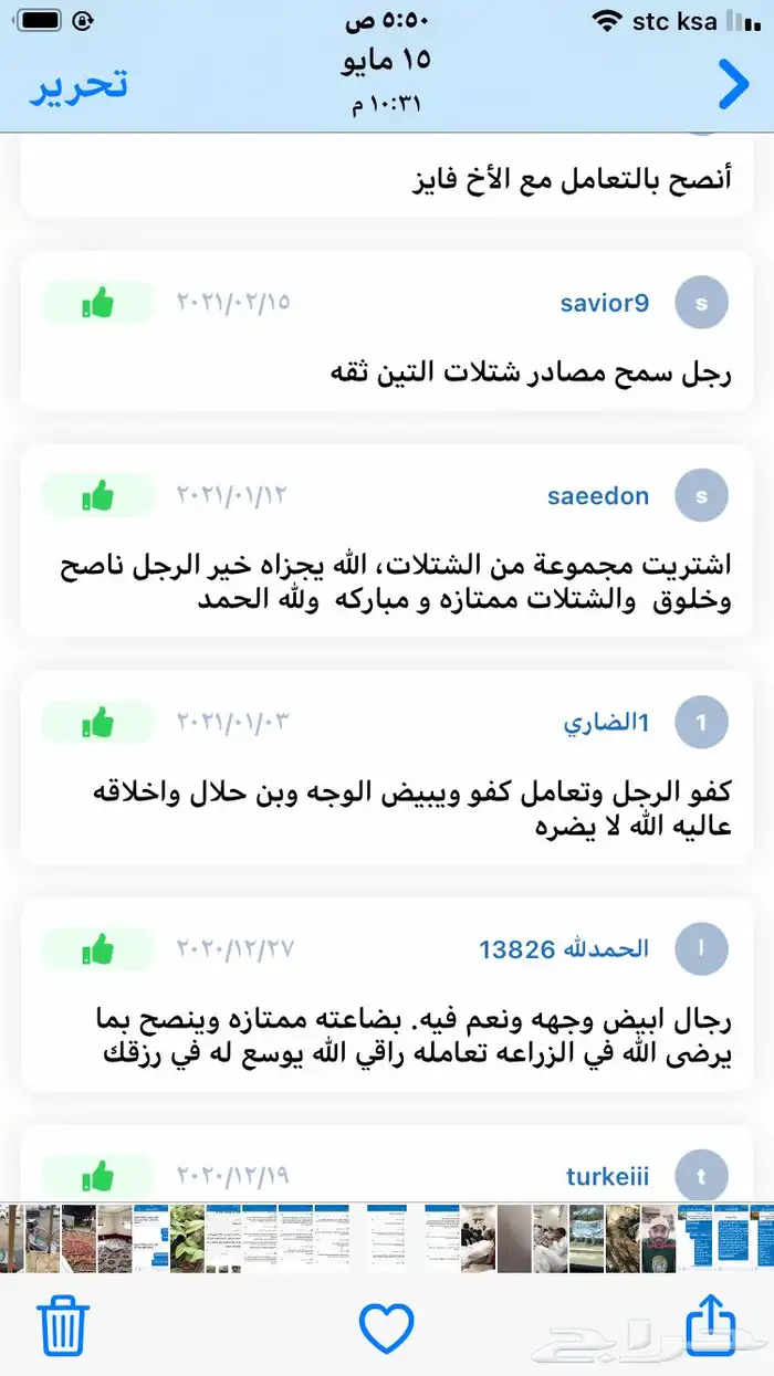 شتلات منتجه 17