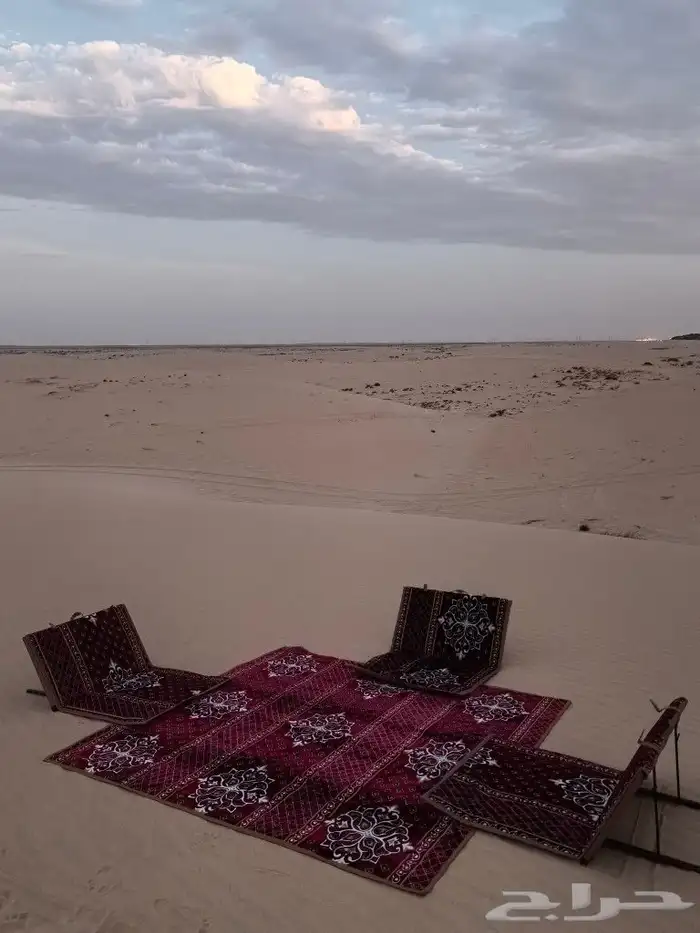 كراسي أرضية 25