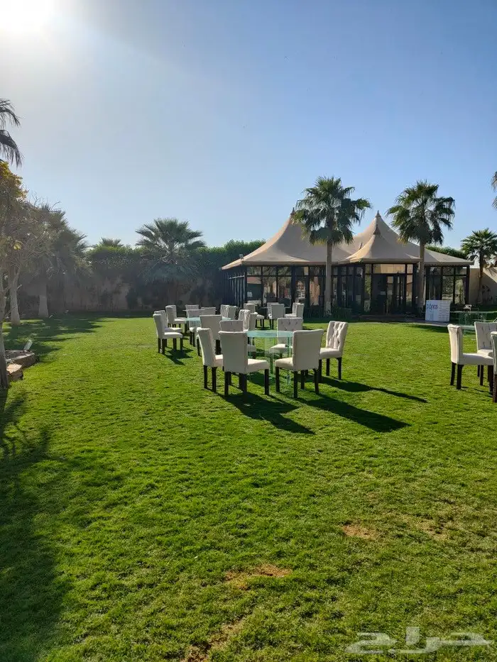 تنسيق حفلات 0