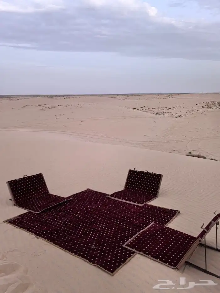 كراسي أرضية 20