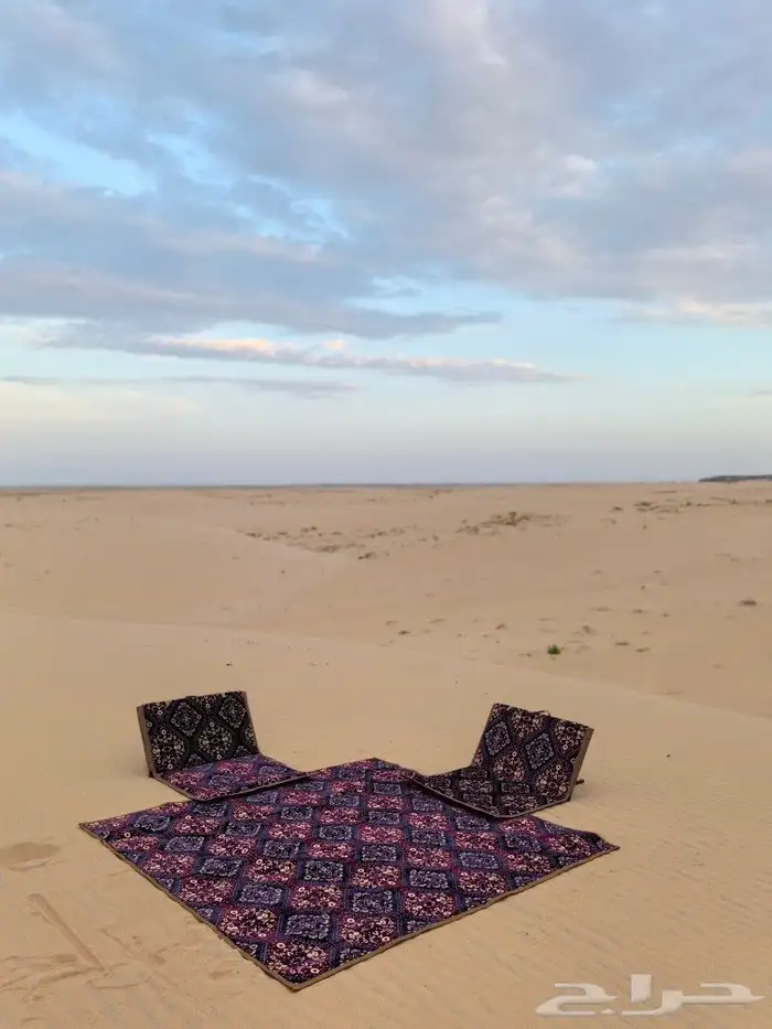كراسي أرضية 6