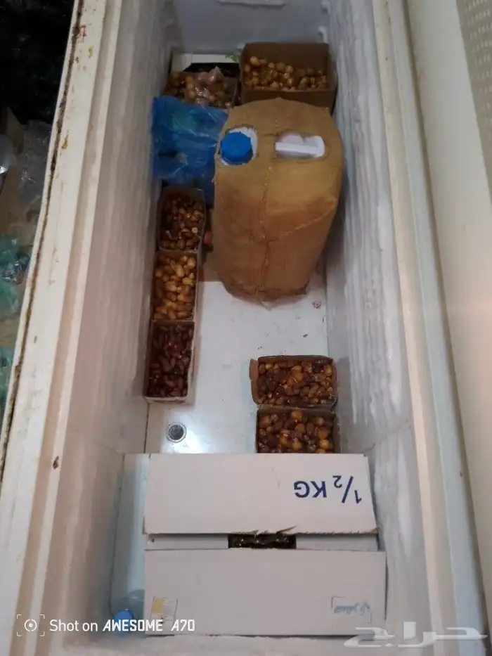 يوجد اثاث غرف نوم6 مكيفات ويوجد مطبخ كامل ويوجد 44