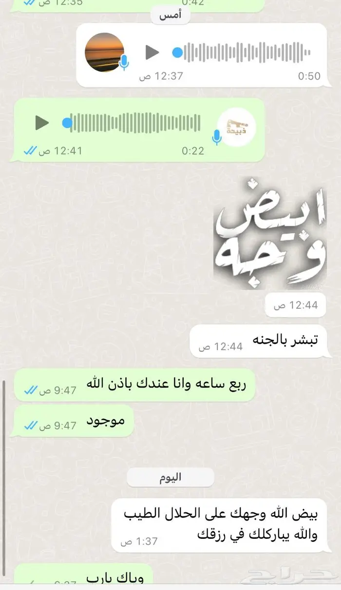 متجر ذبيحة 56