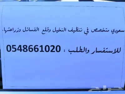 سعودي متخصص في تنظيف النخيل وزراعتها 0