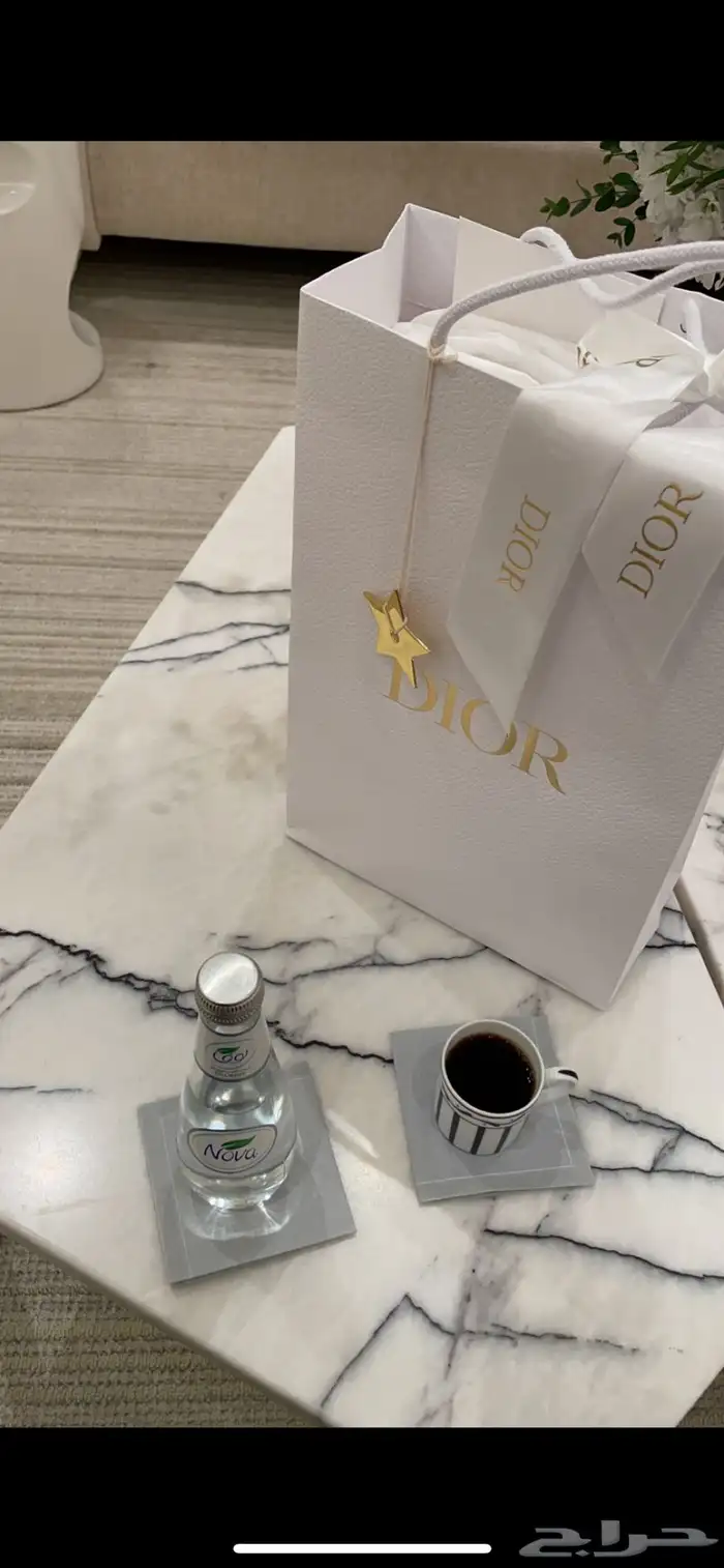 اكياس ديور من بوتيك سنتيريا 1