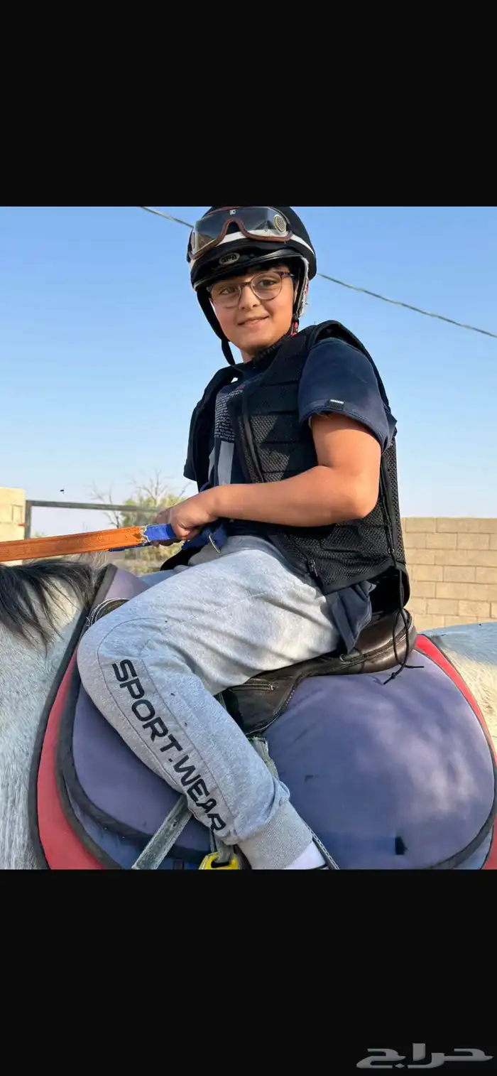 تاجير خيل 0