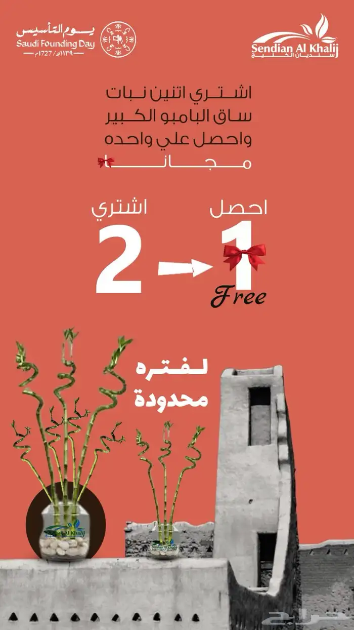 مصمم جرافيك 24