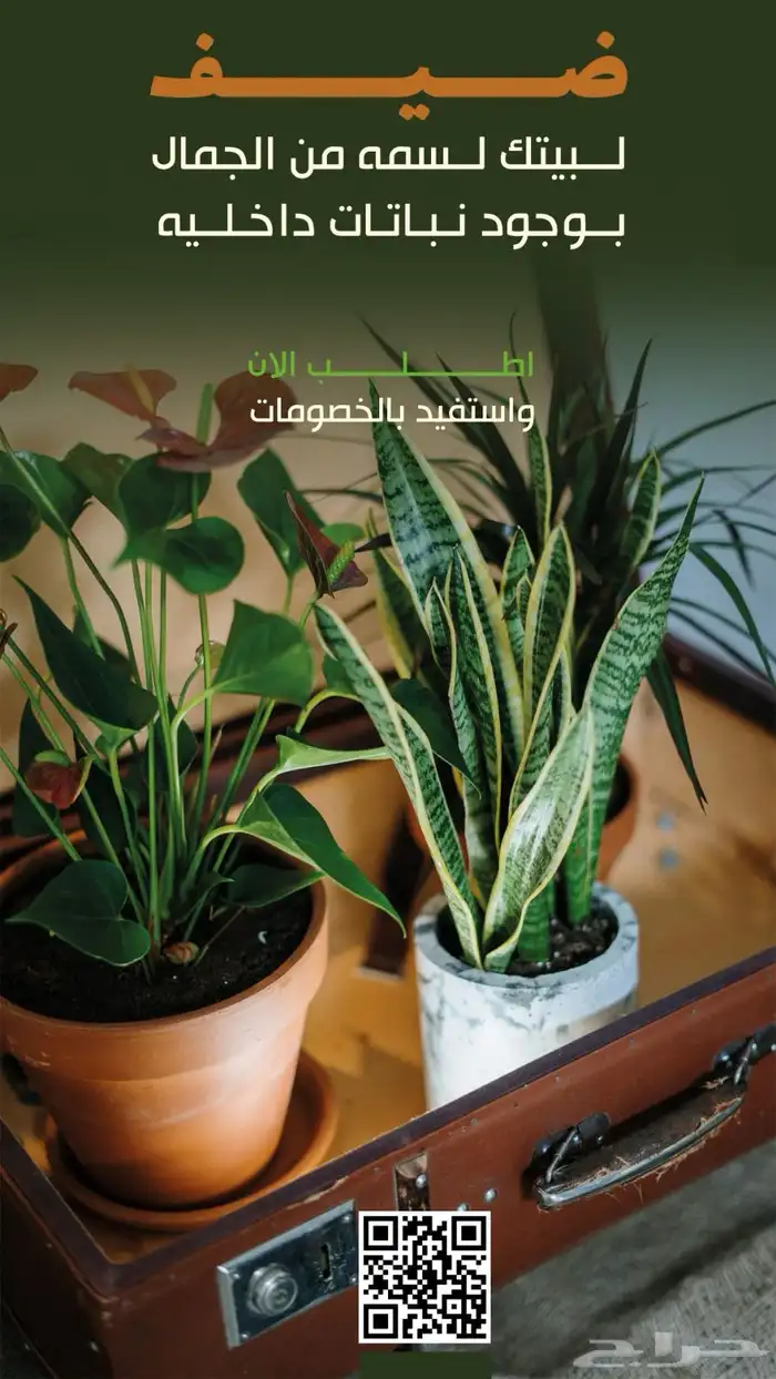 مصمم جرافيك 30