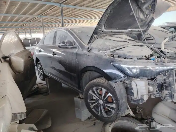 شانجان ابدوبلس2022 1