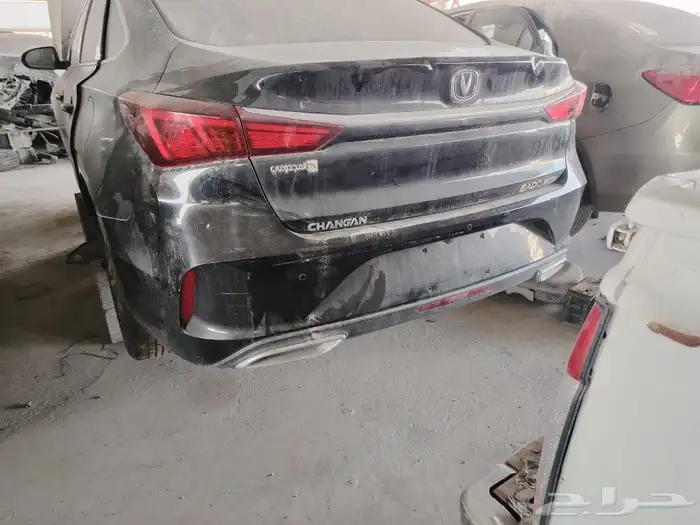 شانجان ابدوبلس2022 0