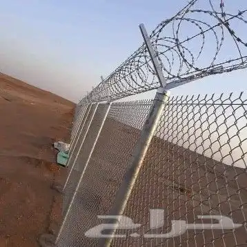 مقاول نخيل واشنطني وعربي وجميع أشجار الزينه المثمره 5