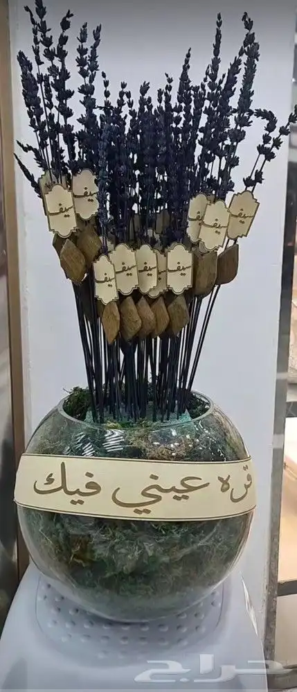 توزيعات فازة ورد 1