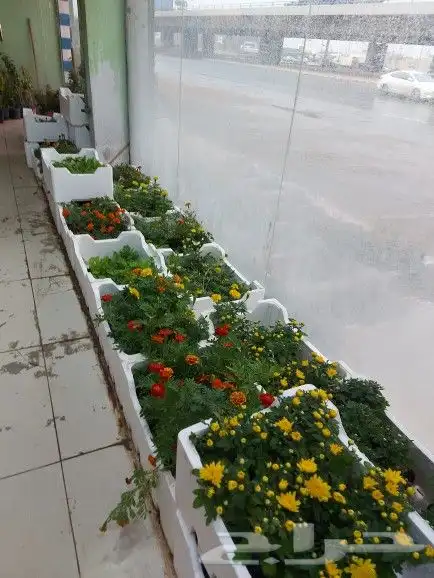 تنسيق حدائق 5