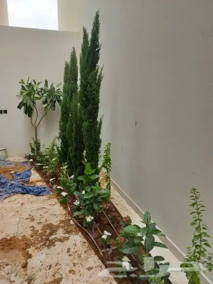 تنسيق حدائق 2
