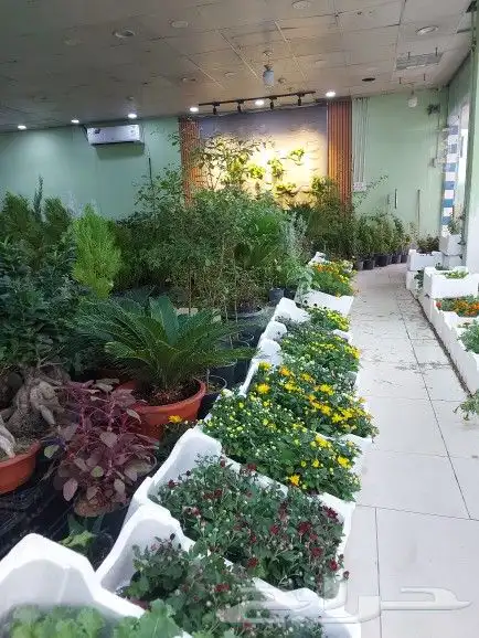 تنسيق حدائق 7