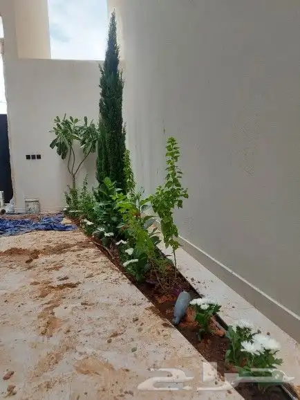 تنسيق حدائق 1