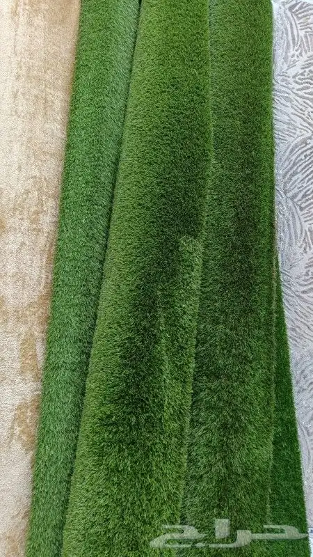 موقعنا فى بيشه 2