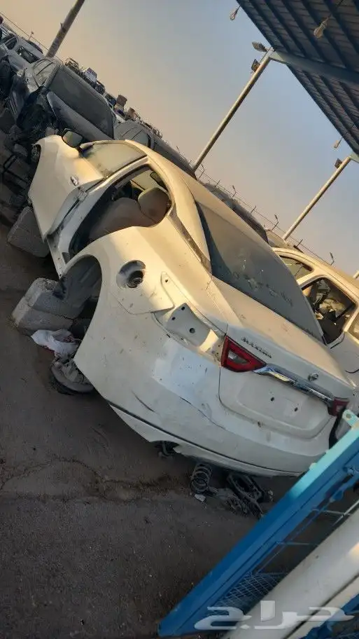 مندوب مبيعات جميع انواع القطع لجيمع انواع السيارات 10