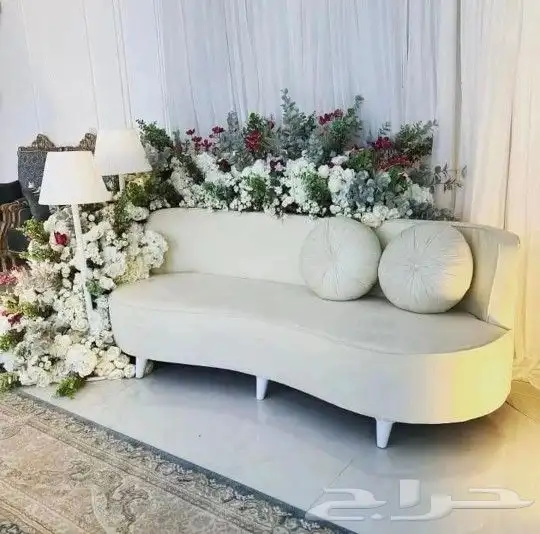 كوش الجوف 0